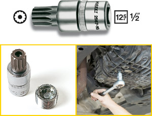 Oljeplugghylsa M16  i gruppen Handverktyg / Specialverktyg / Transmission / Oljepluggsnycklar hos AD Butik rebro / Wallin & Stackeflt (2567-16)